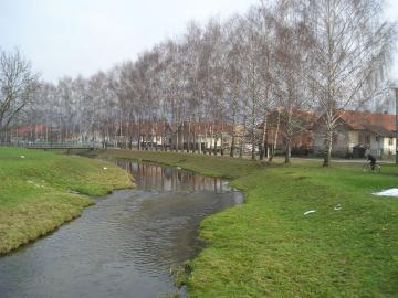 Turianka , r.2008 Turianka , r.2008